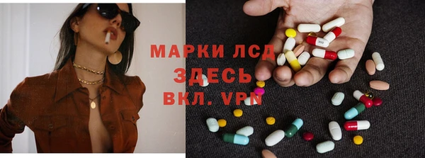 твердый Магас