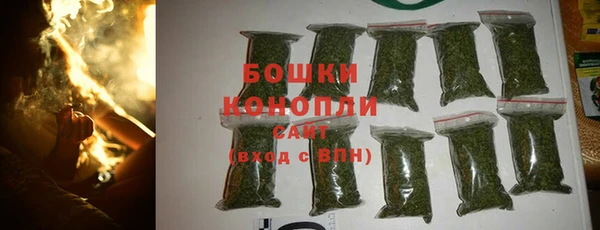 ешки Алзамай