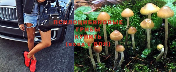 круглые Алексин