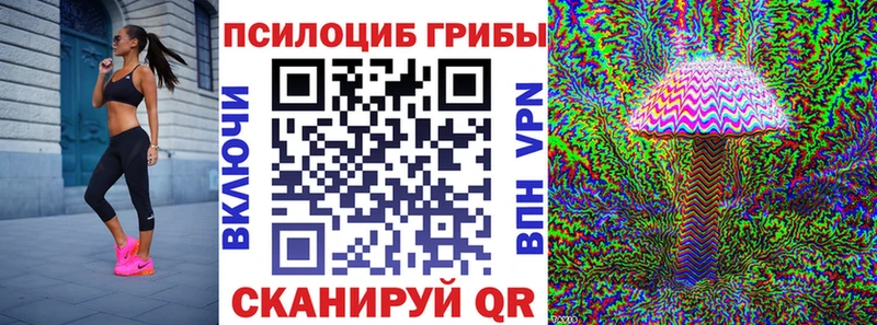 Псилоцибиновые грибы Psilocybine cubensis  Махачкала 
